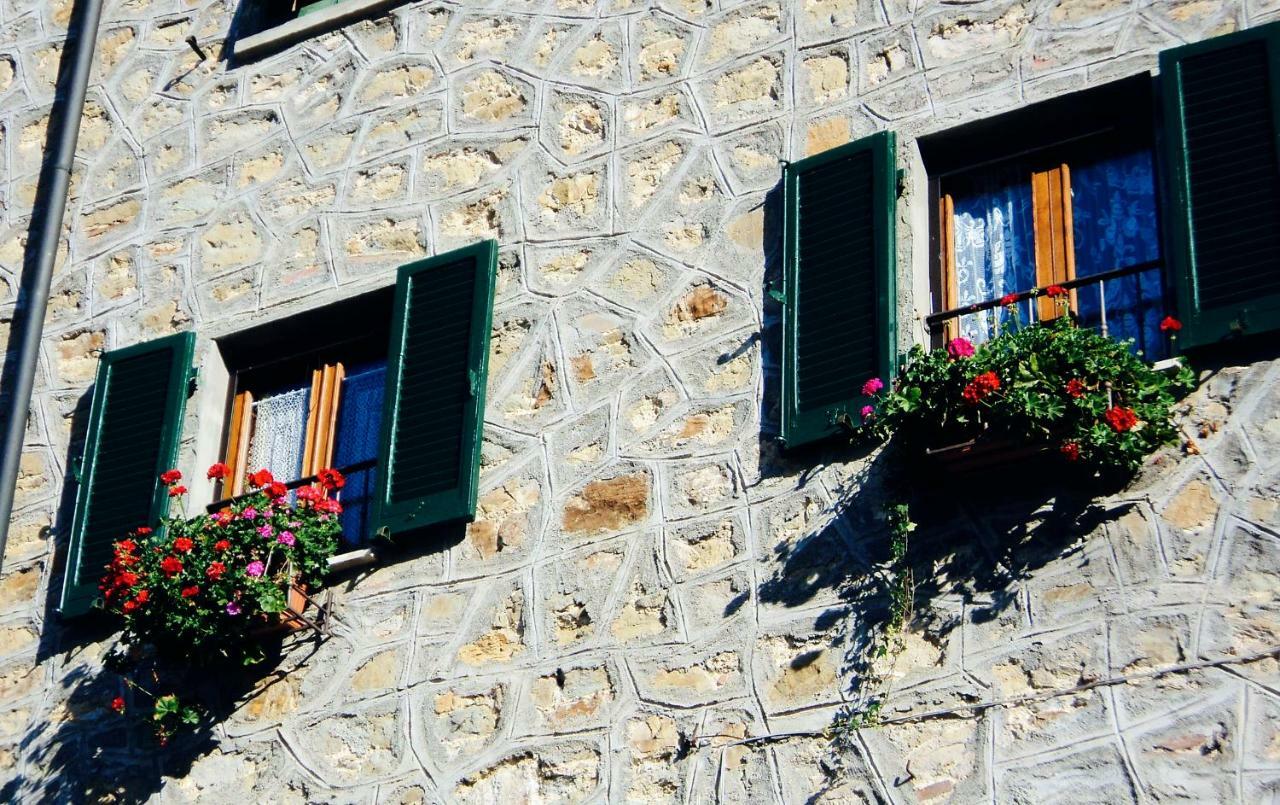 Andante Appartamenti Castelnuovo di Val di Cecina Ngoại thất bức ảnh