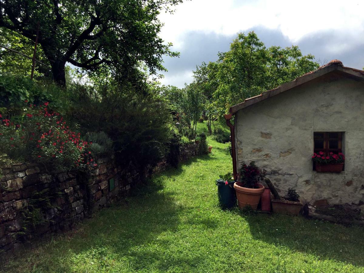 Andante Appartamenti Castelnuovo di Val di Cecina Ngoại thất bức ảnh