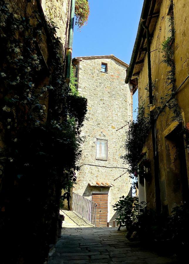Andante Appartamenti Castelnuovo di Val di Cecina Ngoại thất bức ảnh